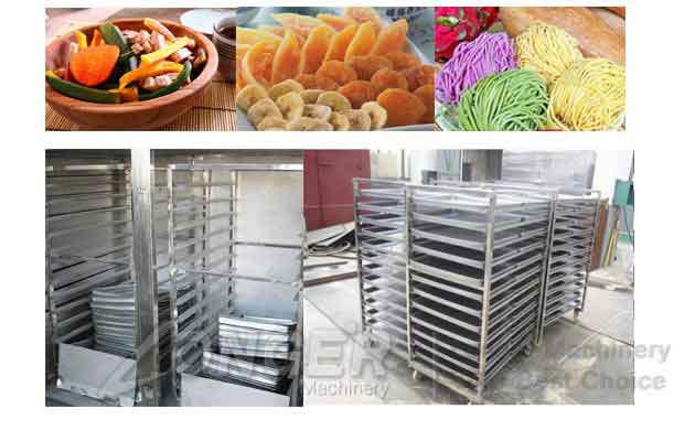 Noodles Drying Machine|Drying Oven For Fruit and Vegetable