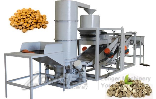 Moringa Seeds Shelling Machine|Sacha Inchi Dehuller Machine Plant
