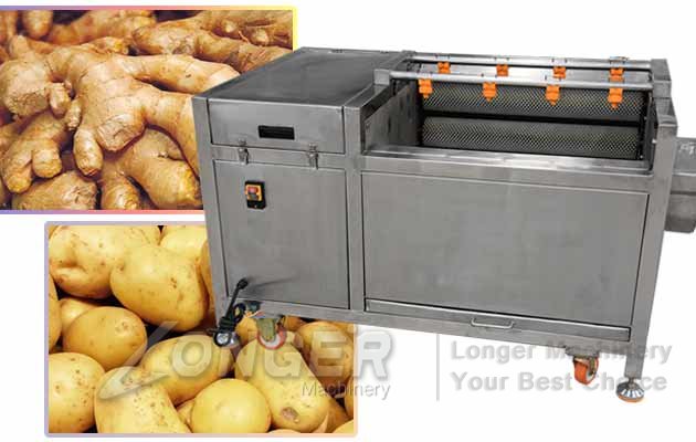 Potato Carrot Washing Peeling Machine On Sale