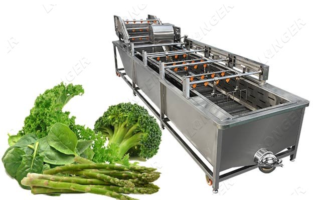 Air Bubble Vegetable Washing Machine|Commercial Leaf Vegetables Cleaning Equipment