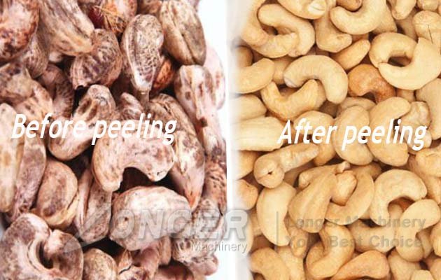 cashew nut peel machine price