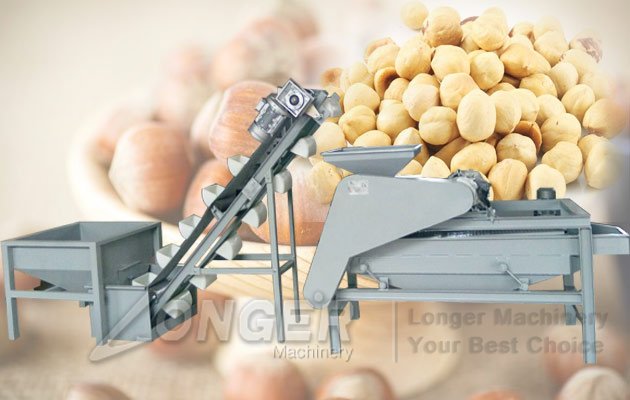 hazel nut shelling machine