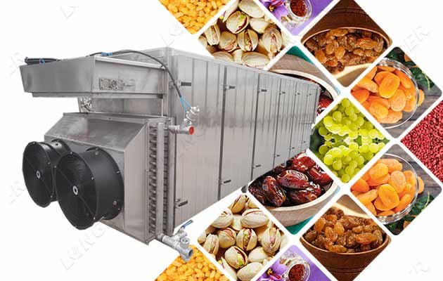 fruit drying machine for sale
