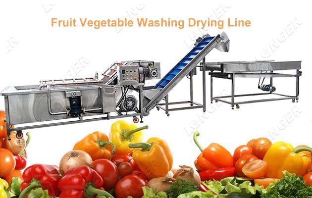 leafy vegetable cleaning equipment