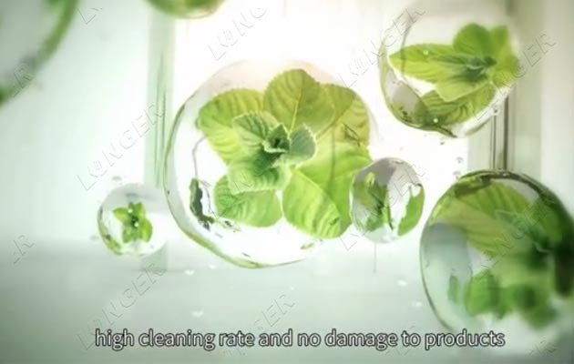 automatic vegetable cleaning machine