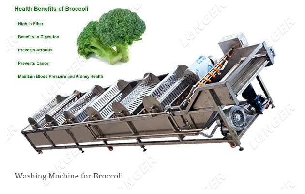 SUS304 Broccoli Cauliflower Cleaning Washing Line