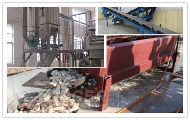 Cassava Flour Production Plant