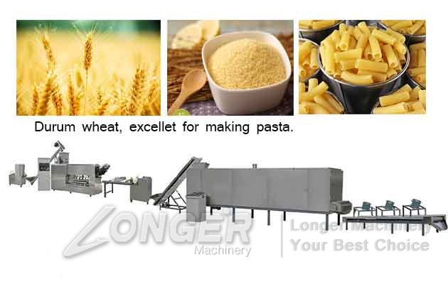 pasta production line