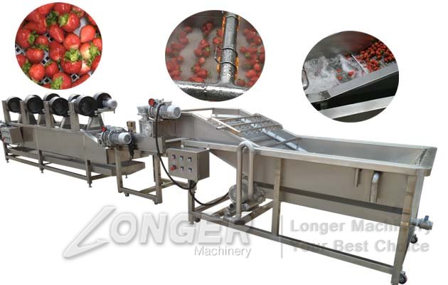 fruit and vegetable cleaning line