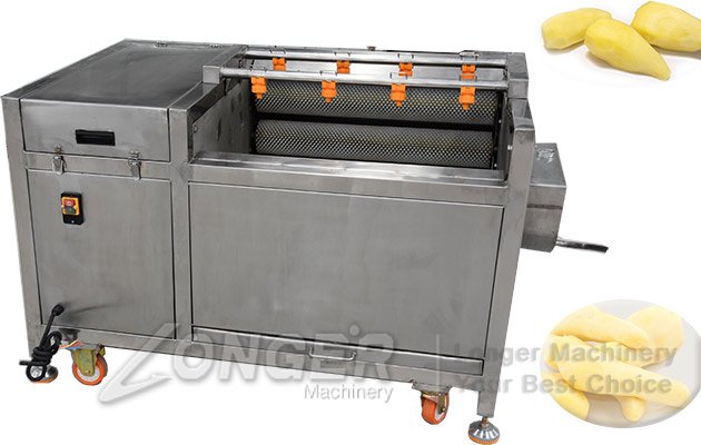 apple washing and peeling machine