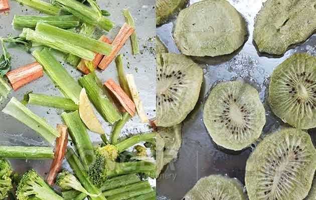 fruit vegetable freeze-drying machine
