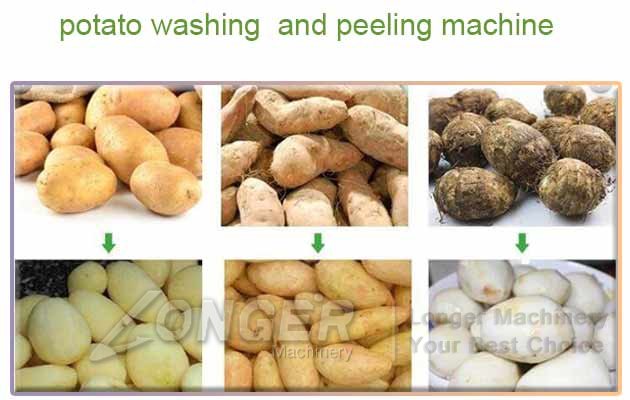 commercial potato washing machine