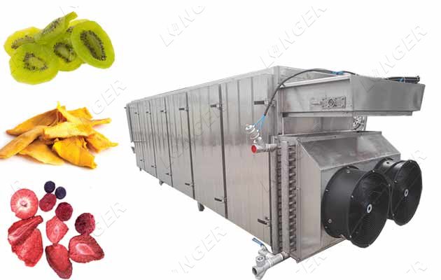 vegetable dehydration machine