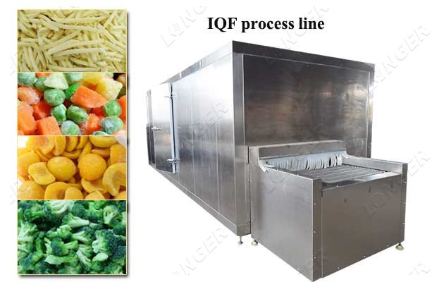 IQF processing plant