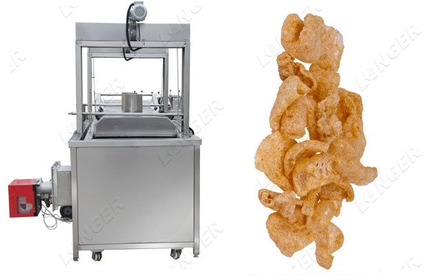 continuous fryer for pork rinds