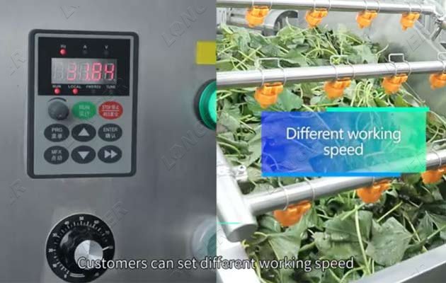 industrial vegetable washing machine