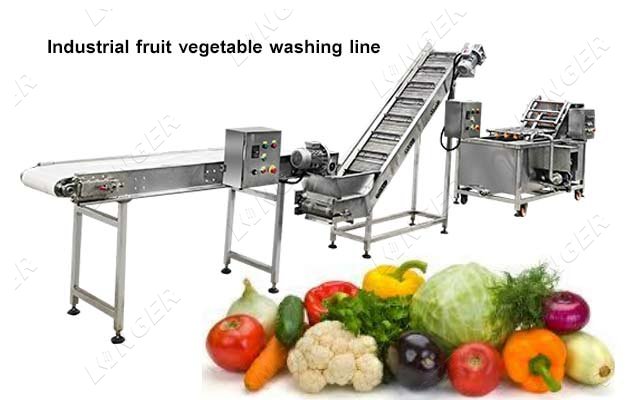 industrial fruit vegetable washing line