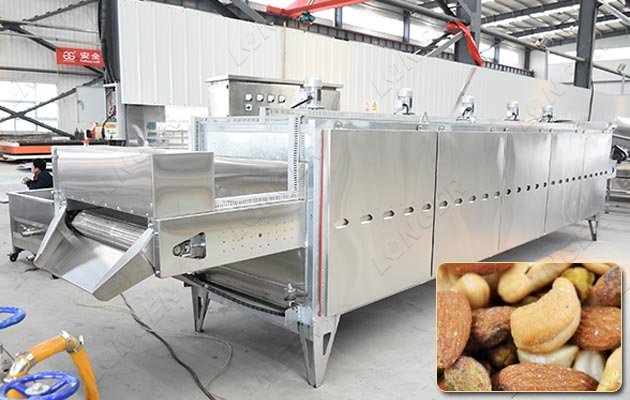 continuous nut roasting machine