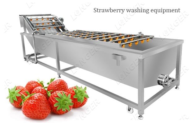 instrial fruit strawberry washing machine