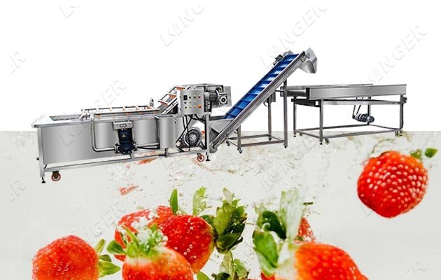 fruit strawberry cleaning machine