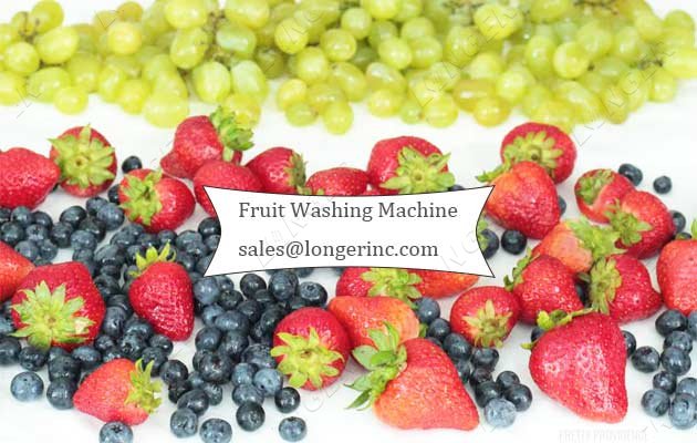 fruit strawberry cleaning equipment