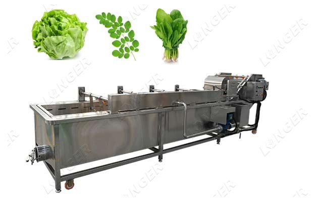 commercial leaf vegetable washer