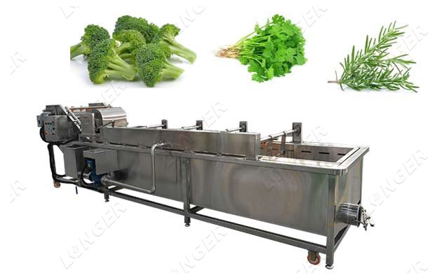 industrial vegetable washing equipment