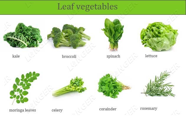 industrial leaf vegetable washing machine price