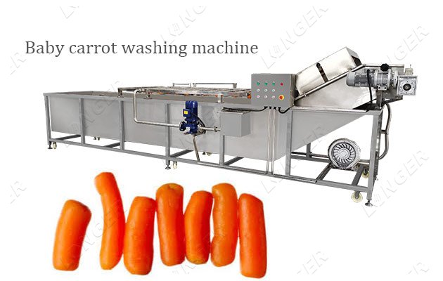 carrot cleaning equipment for sale
