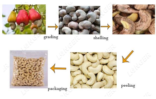 cashew nut shelling plant