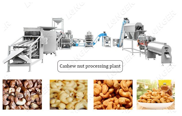 automatic cashew nut processing line