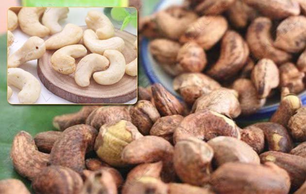 cashew nut processing line supplier