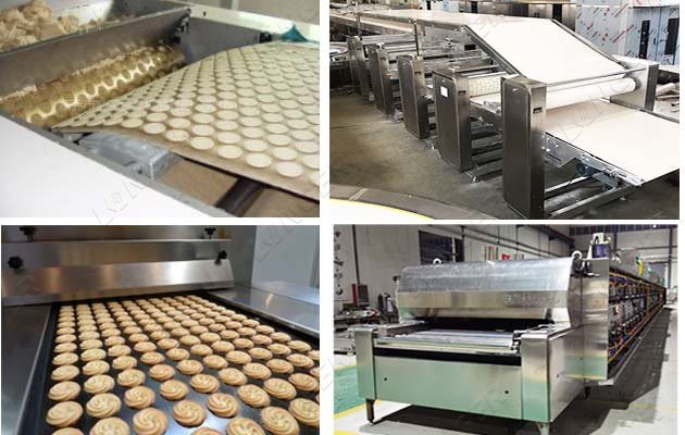 industrial biscuit processing plant