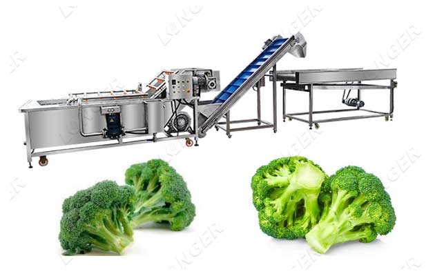 industrial broccoli washing machine