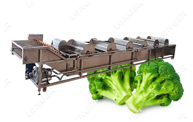 vegetable commercial cleaning machine