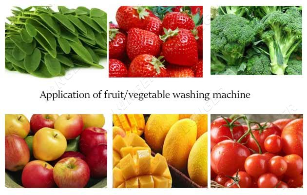 commercial fruit cleaning equipment