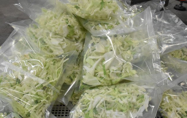 Machines for Processing Cabbage